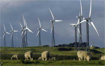 Die neuseeländische Regierung hat einen 1,2-Milliarden-Dollar-Fonds zur Förderung der 100 % erneuerbaren Energieerzeugung eingerichtet